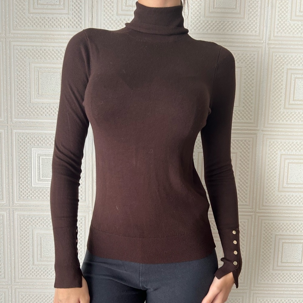 Zara Turtleneck Sweater
